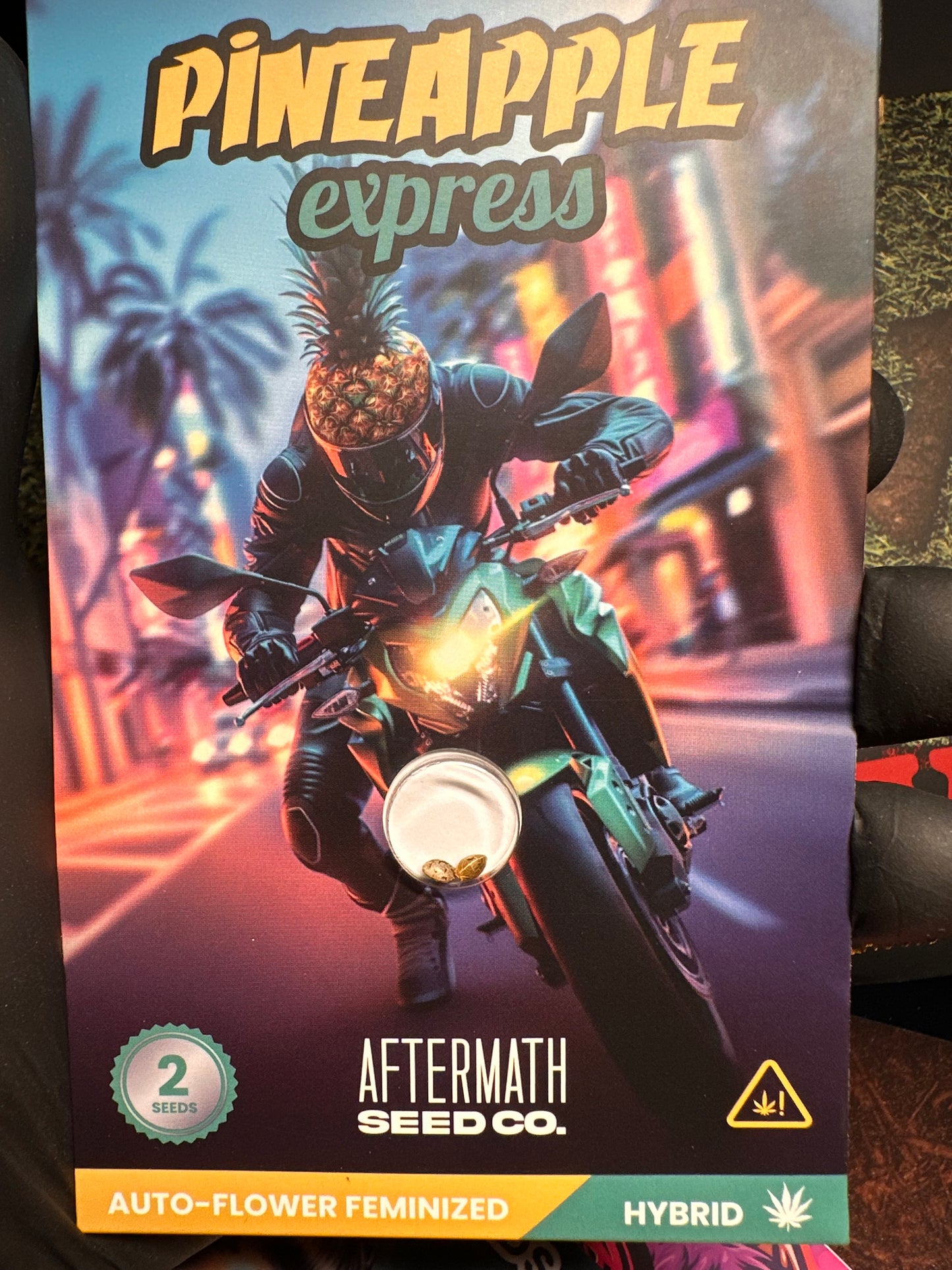 Aftermath Semillas