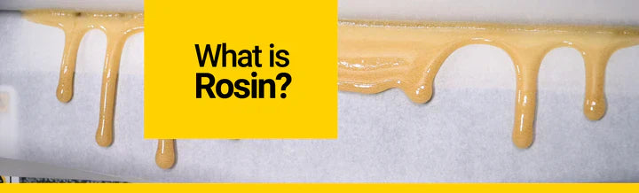 Rosin: El extracto de cannabis más puro y saludable que puedes encontrar