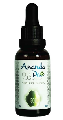 cbd for pets